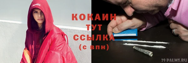 PSILOCYBIN Баксан